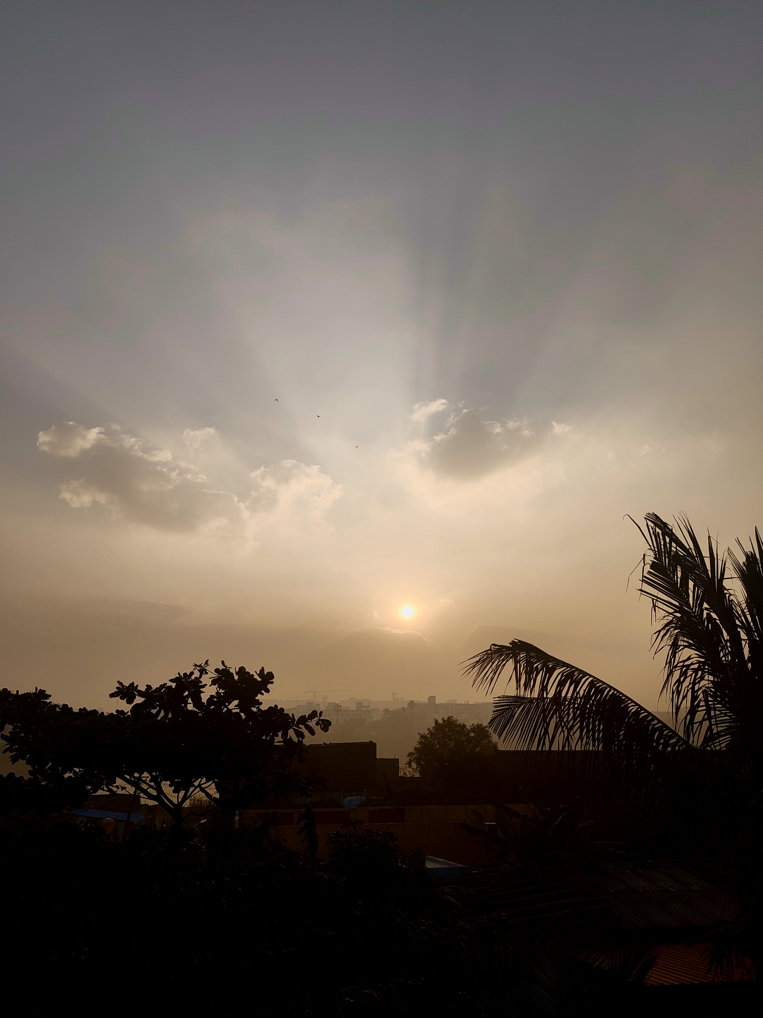 Photography Sample 4