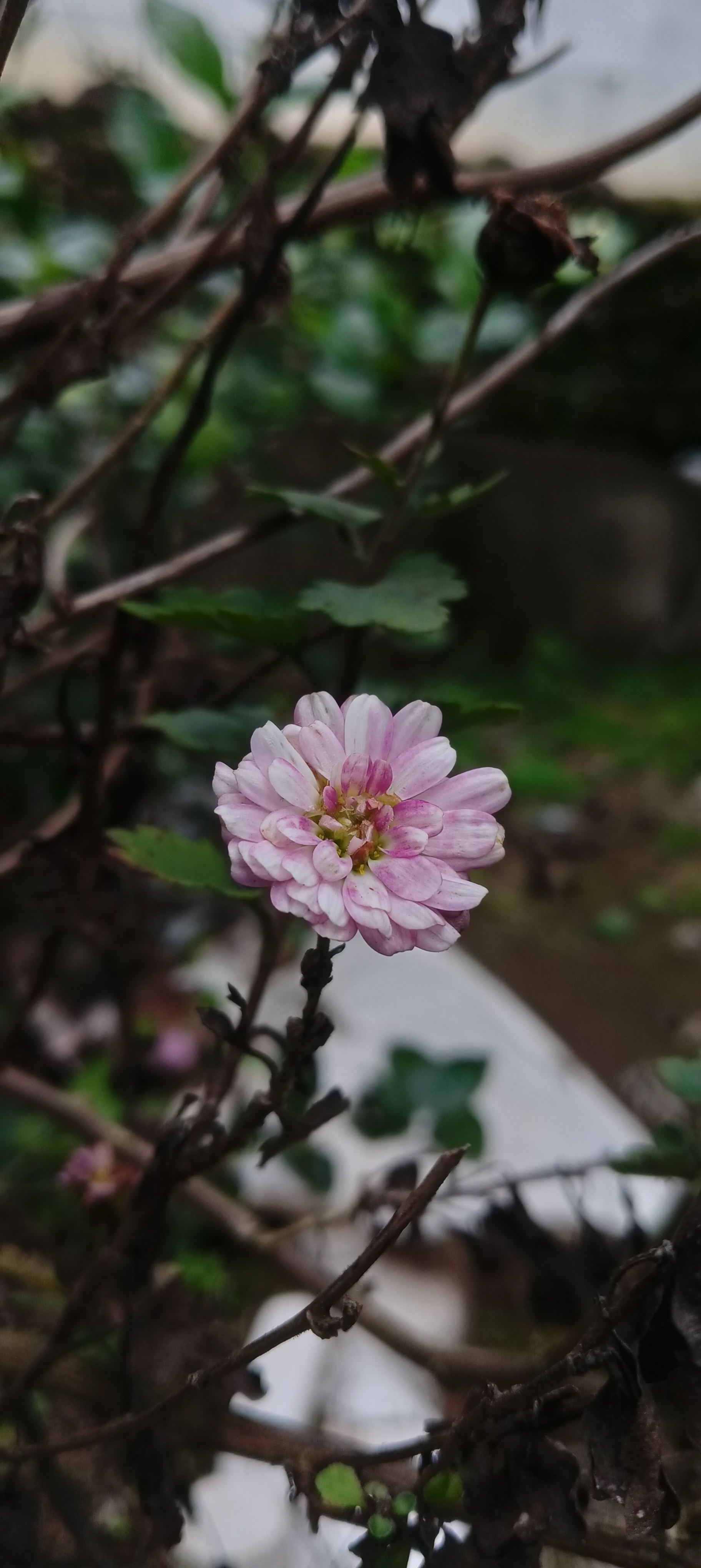 Photography Sample 4