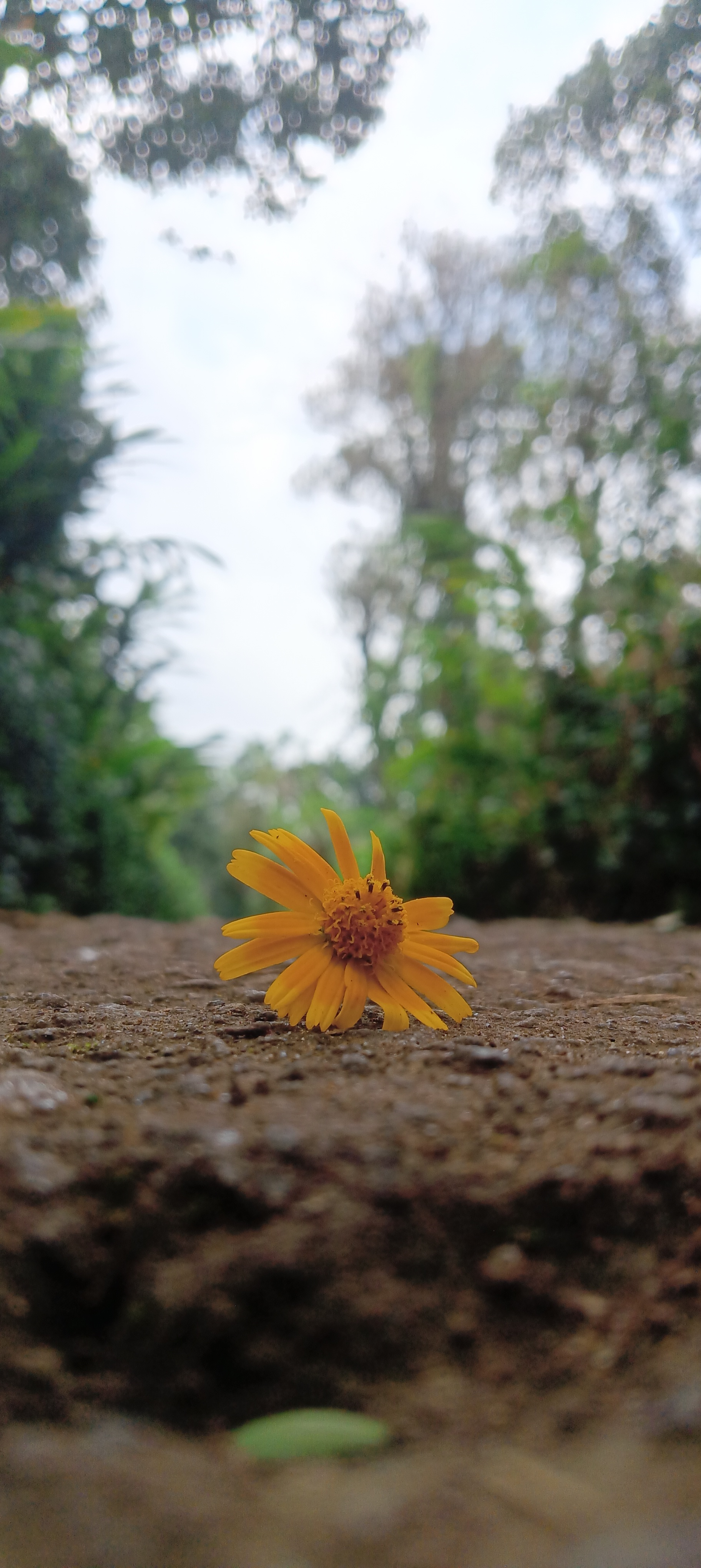 Photography Sample 4