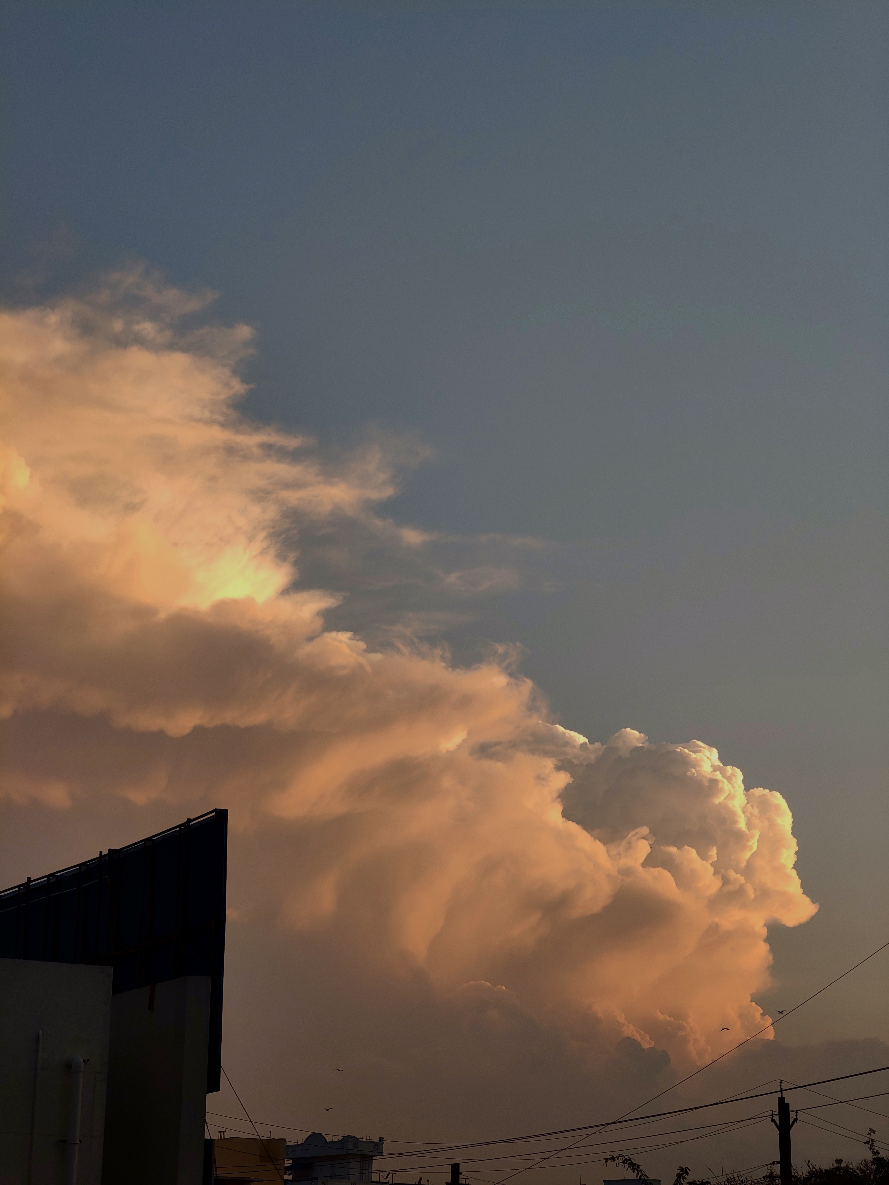 Photography Sample 4