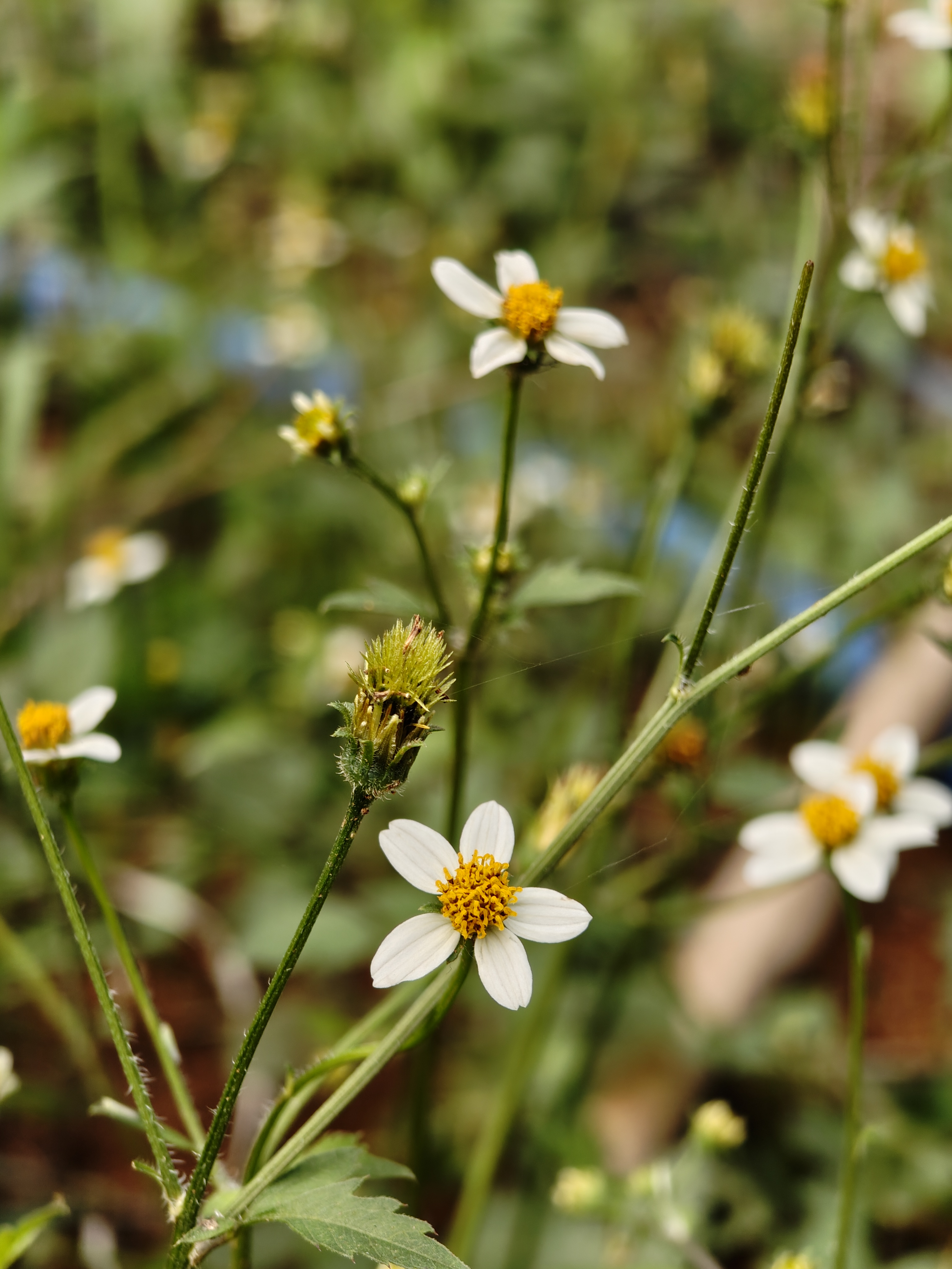 Photography Sample 4