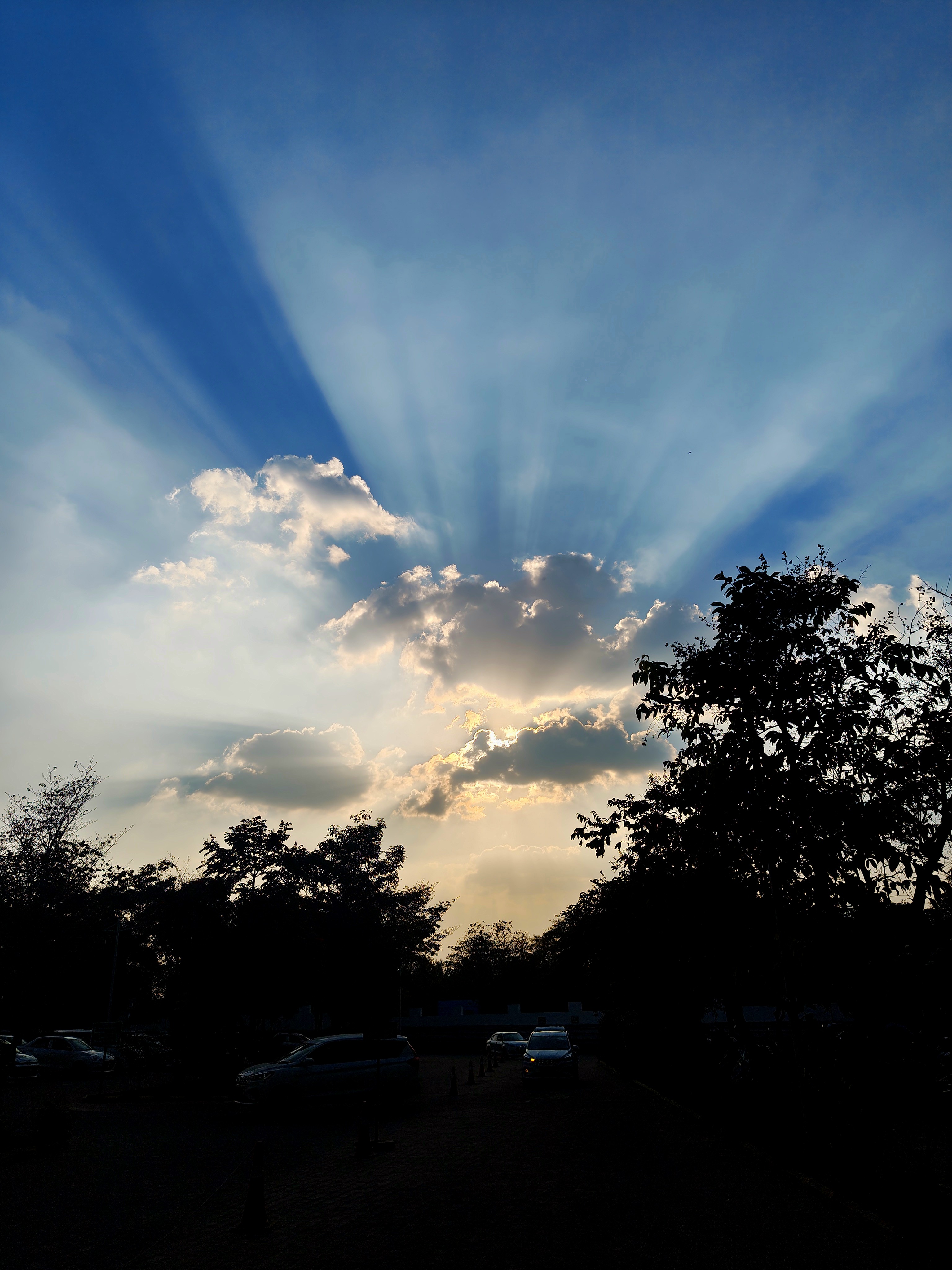 Photography Sample 4